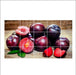 Plum Fruit Wall Poster For Kitchen Wall Sticker - WoodenTwist