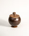 Coconut Shell Container with lid + Small Spoon - 600 ML - WoodenTwist