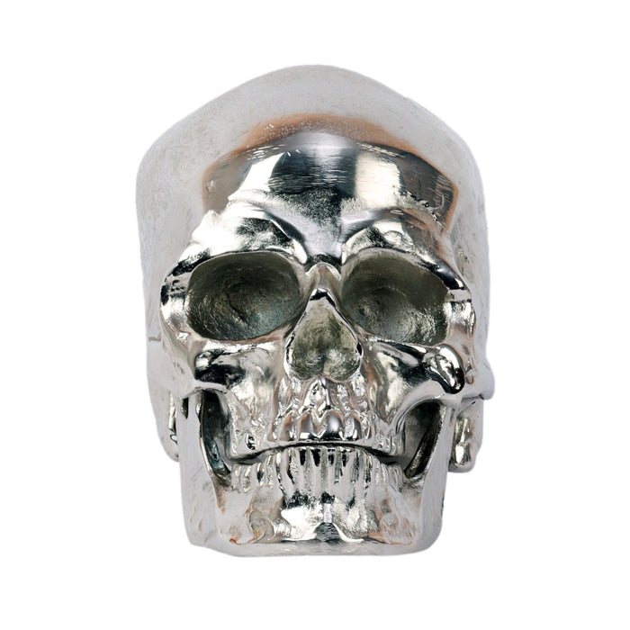 Silver Skull Head Skeleton Decoration Statue - WoodenTwist
