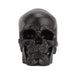 Black Skull Head Skeleton Decoration Statue - WoodenTwist