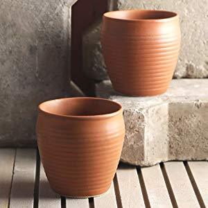 Earthen Glazed Ceramic Kulhad (Set of 6) - WoodenTwist