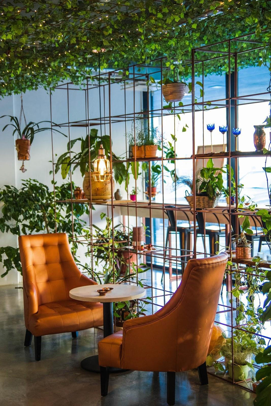 A Spot to Sit & Unwind