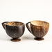 Coconut Teacup | Natural & Handmade | for Hot & Cold Beverages - 200 ml (Set of 2) - WoodenTwist