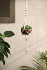 Coconut Shell Macrame Plant Hanger for Indoor & Balcony Gardening (Macrame Hanger & Coconut Shell) - WoodenTwist