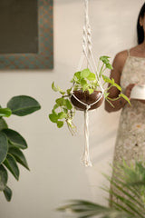 Coconut Shell Macrame Plant Hanger for Indoor & Balcony Gardening (Macrame Hanger & Coconut Shell) - WoodenTwist