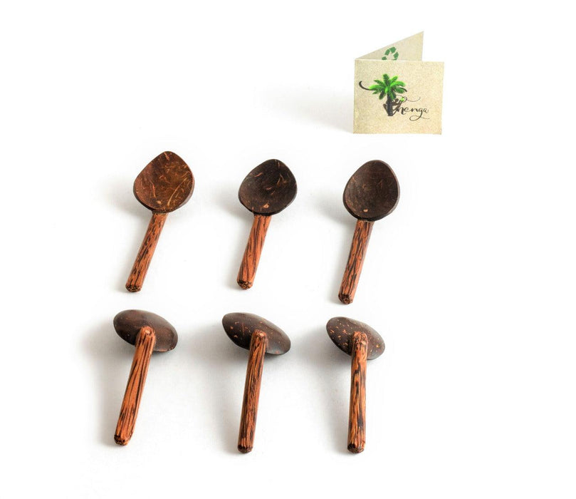 Coconut Shell Masala Spoon Set of 6 for Small Containers | Handmade & Eco-Friendly | for Tea, Coffee, Sugar, Spices - WoodenTwist