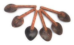 Coconut Shell Masala Spoon Set of 6 for Small Containers | Handmade & Eco-Friendly | for Tea, Coffee, Sugar, Spices - WoodenTwist