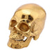 Gold Skull Head Skeleton Decoration Statue - WoodenTwist