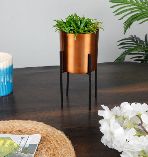 Glass Copper Metal Desk Planter Pot Mini for Indoor Decoration | Metal Planters ( Plants not Included) - WoodenTwist